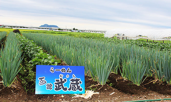 食の天下人について