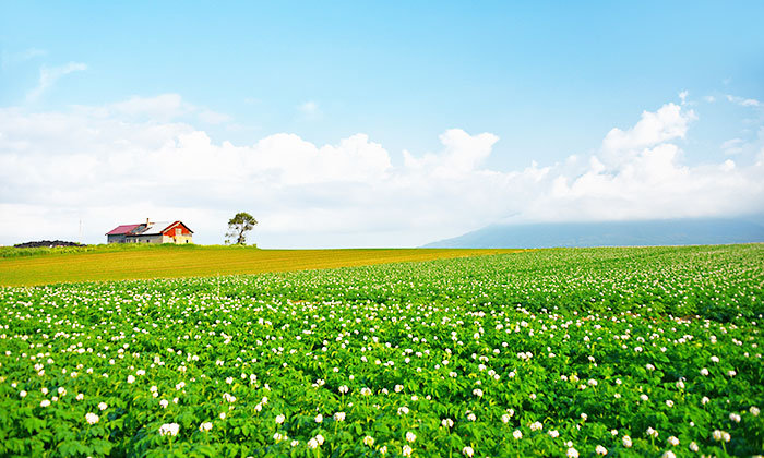 食の天下人について